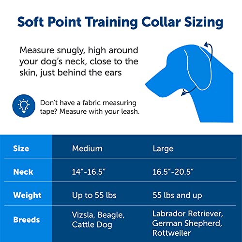 PetSafe Soft Point No-Pull Dog Training Collar, Royal Blue, 3/4 in, Medium - image 6