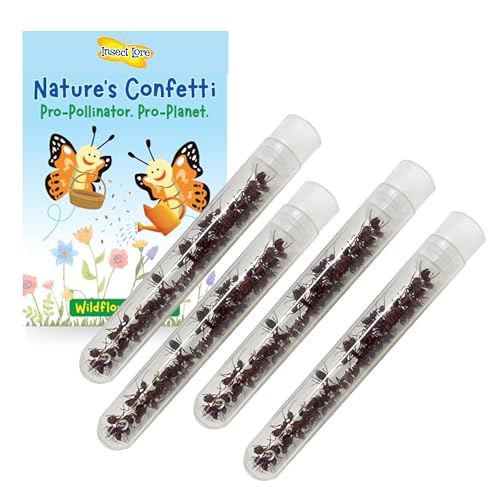 Insect Lore 100 Native Western Harvester Ants - Grown in The USA - Ant Habitat Refill - Includes Wildflower Seeds