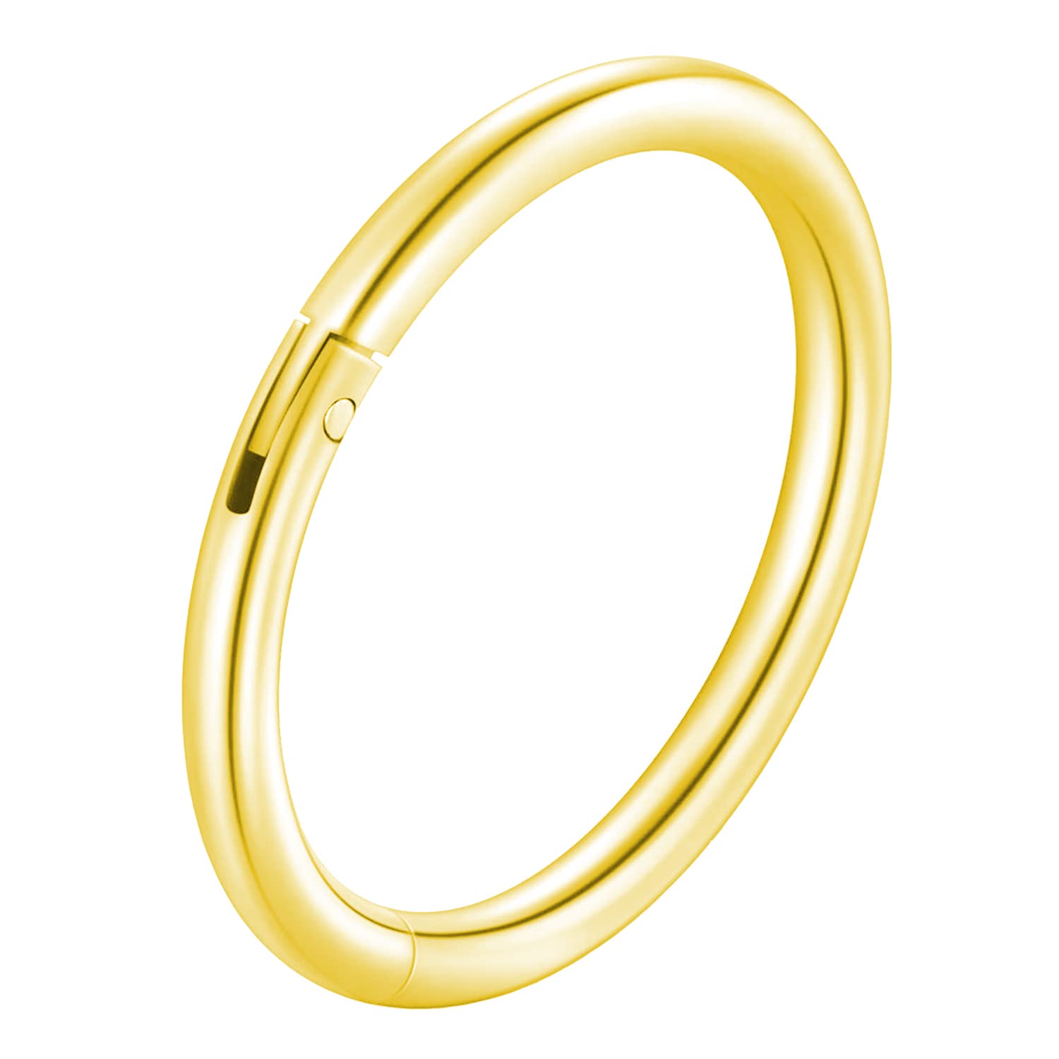 BodyJ4You Piercing Ring Hinged Segment Clicker 10G Hoop Earrings 12mm Goldtone Steel Nipple Septum Ear Lobe