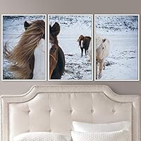 3 Piece Framed Canvas Wall Art A Friend with Me Farmhouse Fun Horse for Living Room Bedroom - 16