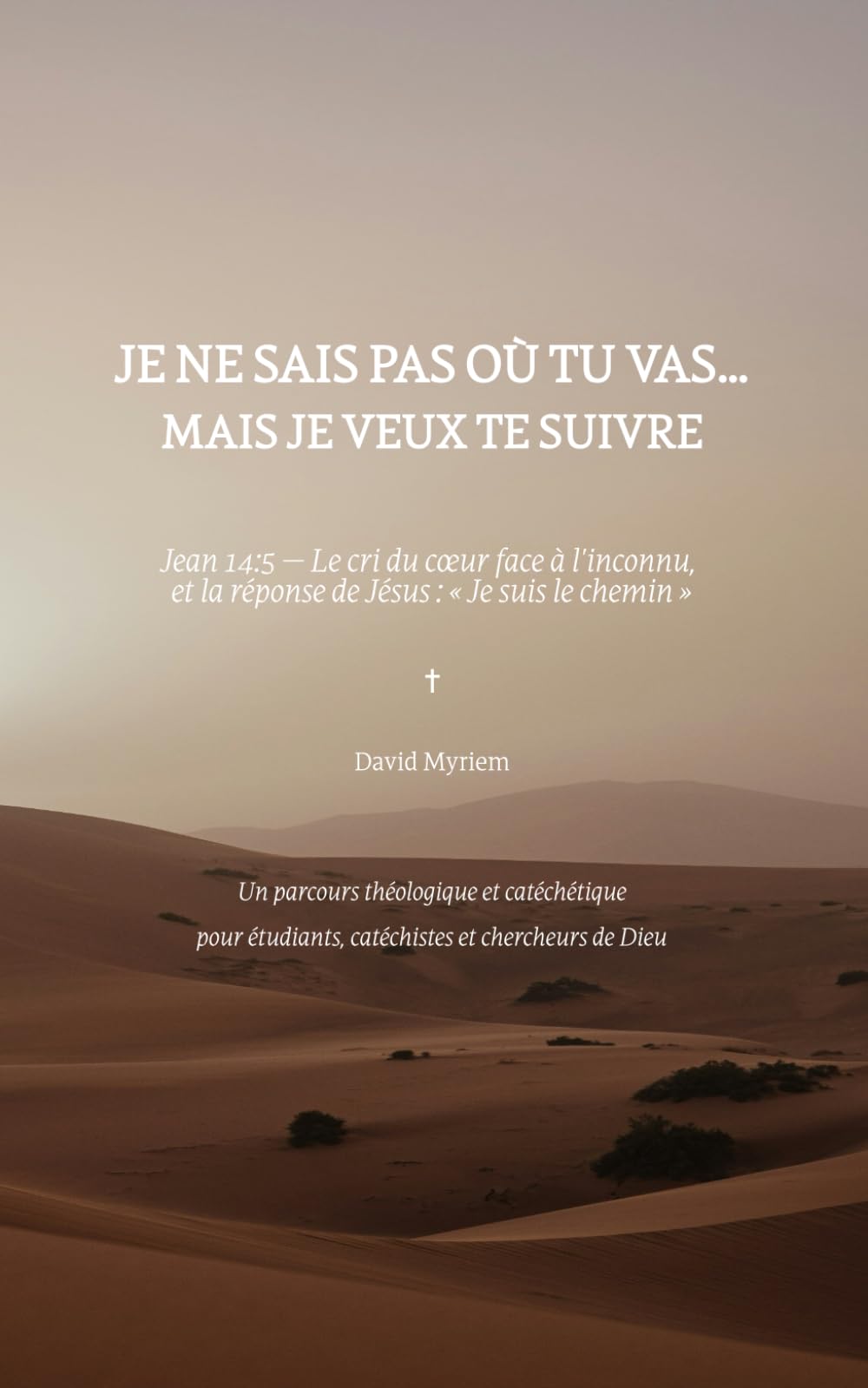 Je ne sais pas où tu vas… mais je veux te suivre: Le cri du cœur face à l'inconnu, et la réponse de Jésus : « Je suis le chemin »