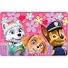 Nickelodeon Paw Patrol Girls "Lively Pups" Accent Rug - 30 inch x 46 inch