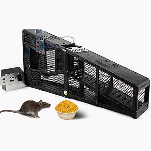 QINAIDI Cage Trap - Live Animal Cage Trap Get Rid Of Mouse,Capture Rodent,Professional Cage Trap