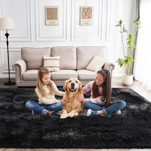 Fluffy Rug Lightweight 6x9 Feet, Black Cool Rugs for Bedroom Non Slip, Soft Fuzzy Aesthetic Rugs for Bedroom Men