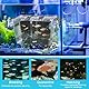 WEFHEF Acrylic Zuchtbecken Fish Aufzuchtbecken Aquarium Zuchtbox Aufzuchtbox Aufzuchtbehälter Zuchtkasten mit Saugnäpfen Aquarium Laichkasten Ablaichkasten Ableichbecken Brutkasten Fischbrutkasten