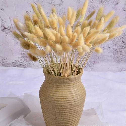 Decoración con pasto pampas seco, 50 unidades, estilo 9 miniatura 4