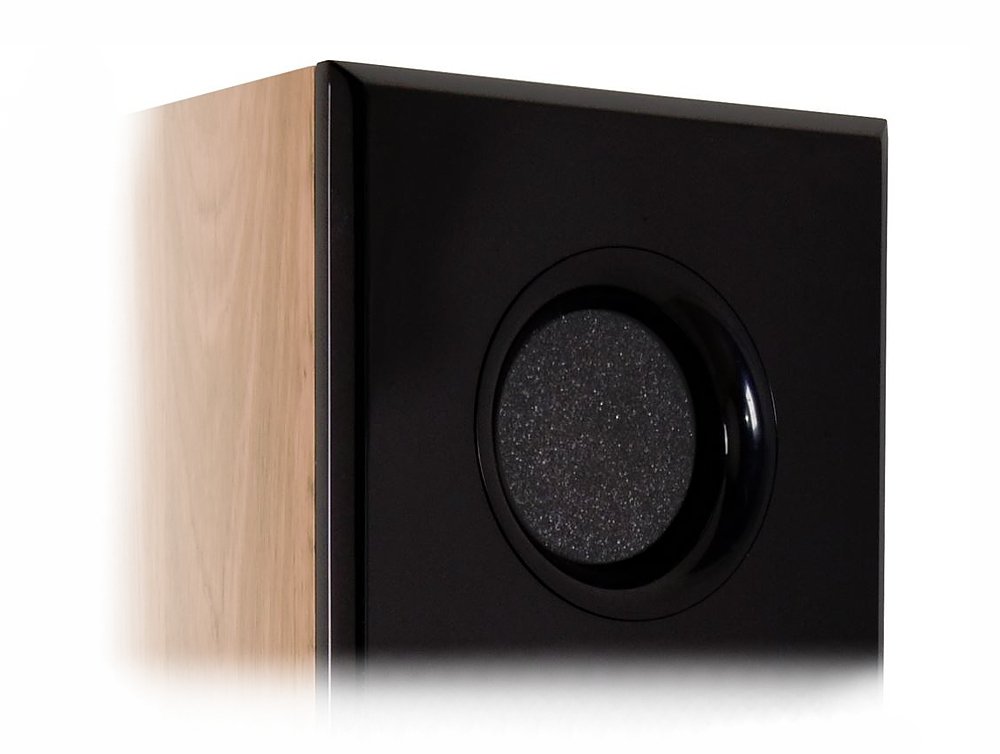 Ricable Custom BDA Bass Damper Tappi in Spugna Acustica per Reflex