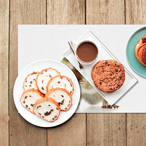 Set de table hamster mignon, cadeau idéal pour amateurs d'animaux