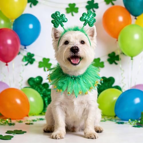 Disfraz St Patricks Día para Perro con Collar y Vincha miniatura 3