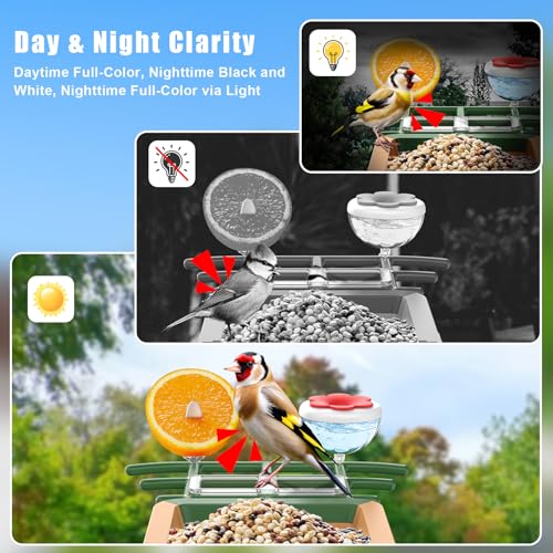 image for ZUPIROL Smart Bird Feeder with Camera with AI Identify Birds Species &