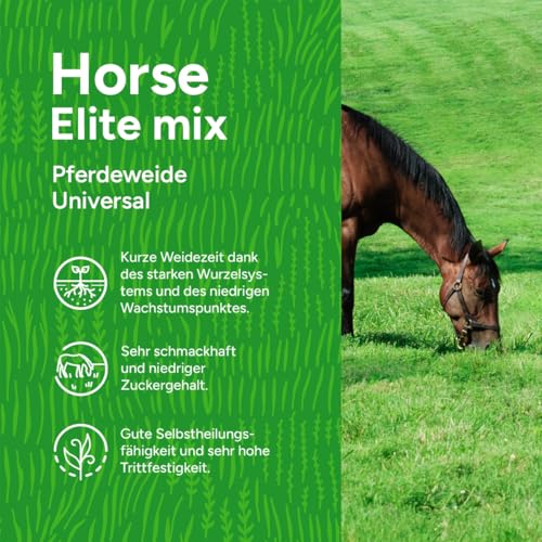 Grassamen Pferdeweide - Elite Mix | 1 kg - 100m2 | Universalmischung für Pferdeweiden | Hohe Trittfestigkeit | Neuanlage und Nachsaat | Schmackhaft und Zuckerarm | Für alle Böden geeignet | MRS Seeds