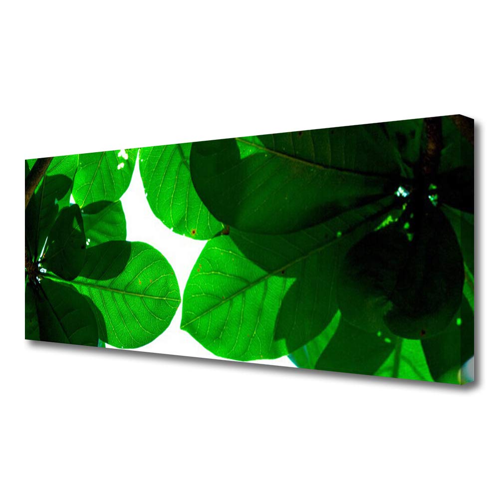 Impression sur toile Tulup tableau déco mural moderne salon motif feuilles 125x50