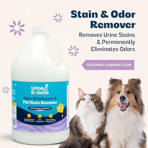 Image of Urine B-Gone, Professional Enzyme Odor Eliminator & Pet Stain Remover, Human, Cat & Dog Urine Cleaner, Effective on Laundry, Carpets & More, Lavender Scent, 1 Gallon (Pack of 2)