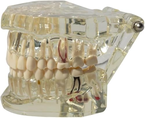 Zorimu�s���N �J���㉺�{����͌^ �C���v�����g���w�E���������p ���]���݌v