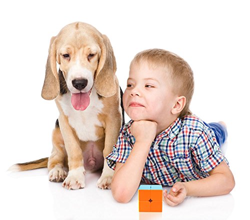 Coogam Qiyi Speed Cube Bundle 2X2 3X3 Magic Cube Set Qidi S 2X2 Warrior W 3X3 Stickerless Puzzle Toy Pack #TOP6