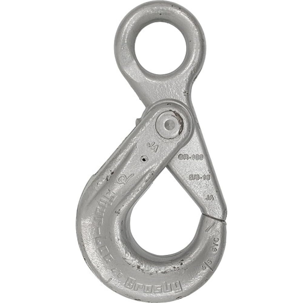 Amazon.com: Crosby Shur-Loc Self-Locking Eye Hook, 1/4