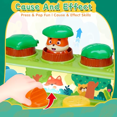 Image of FS Pop Up Toy for Baby 6-12 Months, Cause and Effect Toys for 1 Year Old, Early Learning Educational Pop Up Baby Toy for Boys and Girls 1st Birthday Gift