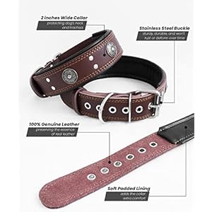 Leather-Dog-Collar-2-inches-Wide-Heavy-Duty-Genuine-Leather-Collars-Handmade-Soft-and-Luxury-Eye-catching-Best-Choice-for-Large-and-Medium-Breed-Dogs-225-265-inches - Cucciolini Doodles Leather-Dog-Collar-2-inches-Wide-Heavy-Duty-Genuine-Leather-Collars-Handmade-Soft-and-Luxury-Eye-catching-Best-Choice-for-Large-and-Medium-Breed-Dogs-225-265-inches