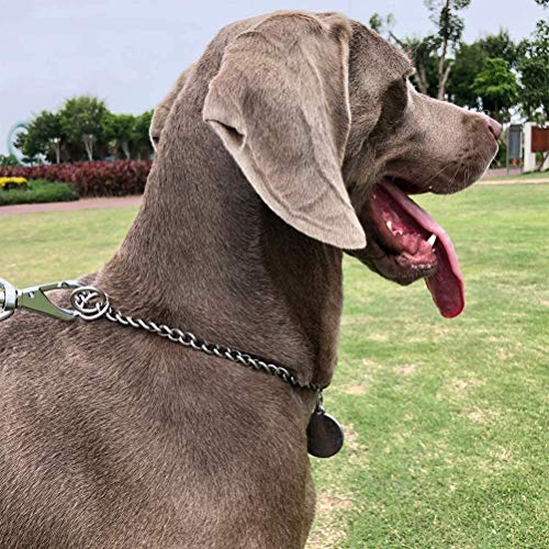 Tianbi Metal Dog Collar,Dog Chain Collar,Pet Dog Collars - Image 4