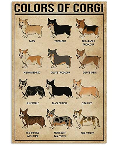 Colors Of Corgi Chart Metal Tin Signs Corgi Knowledge Retro Poster Kennel Science Wall Decor Home Pet Shop Farmhouse Plaque Decoration 8x12 inchses