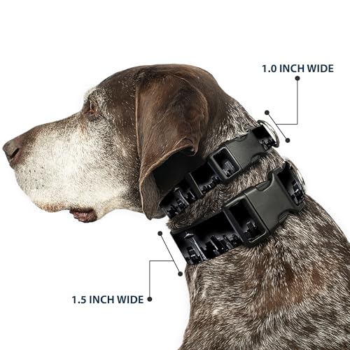 Collar de plástico Buckle Down para paseos urbanos con diseño skyline de Seattle ajustable 3