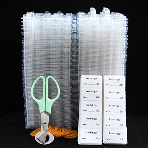 KalluliCC 100 Pcs Quail Egg Cartons Cheap Bulk 12 Grids Egg Holders Small Quail Eggs Holder With Scissors Date Stickers and Elastic Bands Plastic Quail Egg Container For Refrigerator Farms