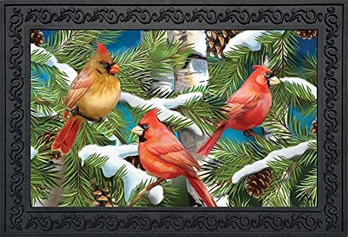 Bandiera Da Giardino Invernale Briarwood Lane Con Cardinali - Foto 11