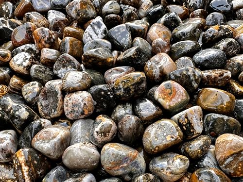 Image of GAF TREASURES 1 /2 LB Ocean Jasper Tumbled Stones, Polished Natural Sea Jasper Gemstone, Ocean Jasper Healing Crystals (Ocean Jasper)