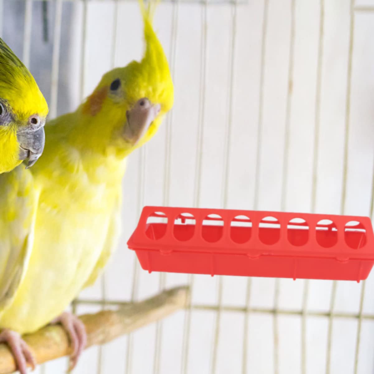 Confezione da 4 mangiatoie per polli, in plastica, multifunzionali, per pulcini e colombe, ideale per fattorie in cortile e amanti degli uccelli