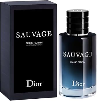Dior SAUVAGE 香水　100ml ほぼ未使用 Christian Dior ディオール 香水 ソヴァージュ オードゥ
