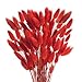 HUAESIN 120pcs Getrocknet Blumen Schlifgras Trockenblumen Deko Herbst Dekoblumen Rot Gras Klein Trockenblumen Natürliche Schilfgras für Zuhause Halloween Hochzeit Vase Thanksgiving
