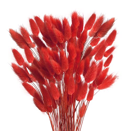 HUAESIN 120pcs Getrocknet Blumen Schlifgras Trockenblumen Deko Herbst Dekoblumen Rot Gras Klein Trockenblumen Natürliche Schilfgras für Zuhause Halloween Hochzeit Vase Thanksgiving