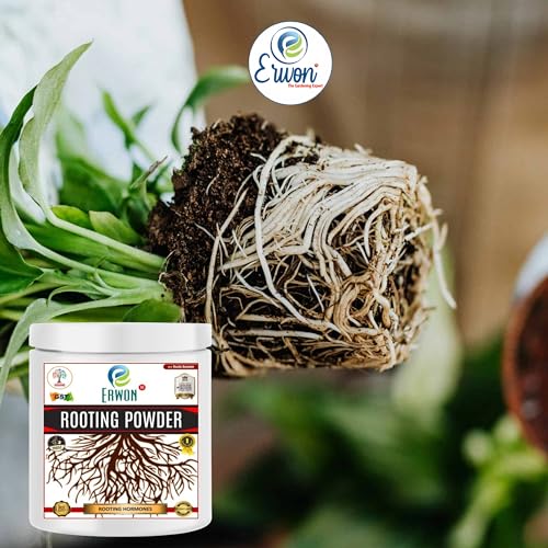 Image of Erwon organic Rooting Powder with auxins for getting fast roots in plant cuttings and plant air layering (50 gm)