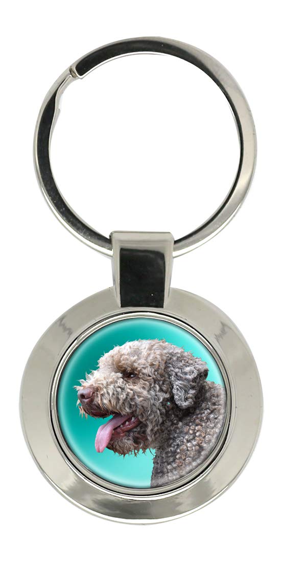 Lagotto Romagnolo Dog Key Ring
