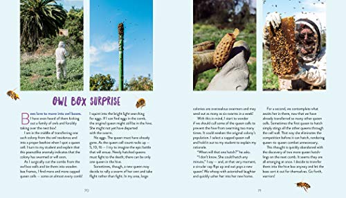 image for Storey Publishing, LLC QueenSpotting: Meet the Remarkable Queen Bee an