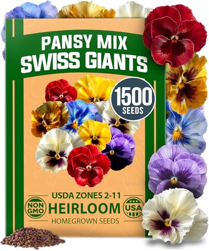 HOME GROWN Pansy Swiss Giants Mix - 1,500 Flower Seeds (2.13g) - Fall Planting Pansies Seed - Edible Viola Seeds - Cold Hardy Annuals for Containers & Outdoor Gardens (Viola × wittrockiana)