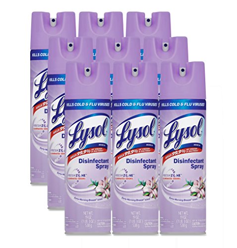LYSOL Disinfectant Spray, Early Morning Breeze, 19oz Aerosol (Case of 12)