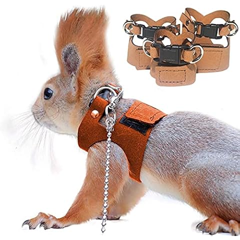 3 Pack Adjustable Squirrel Harness Set Cover
