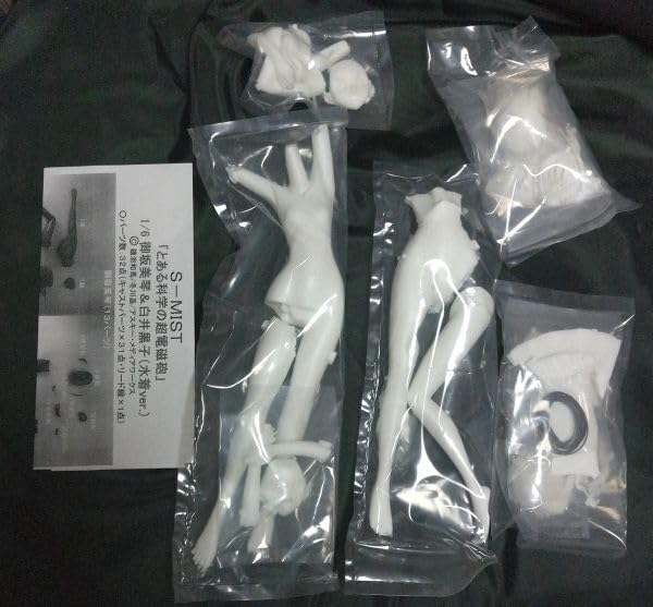 S-MIST とある科学の超電磁砲 御坂美琴&白井黒子 水着ver. 2体セット Amazon.co.jp: S-MIST とある科学の超電磁砲 御坂美琴&白井黒子 水着