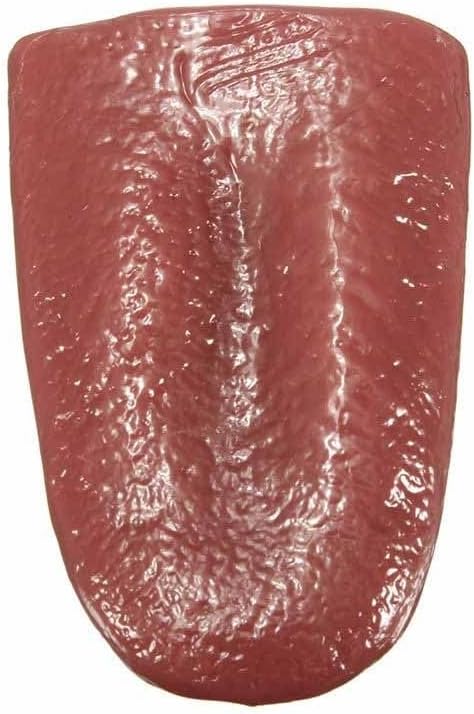 Miniatura 8 de MilesMagic Lengua falsa de mago, no tóxica, elástica, novedosa, realista, aterradora, divertida, lengua para truco de magia