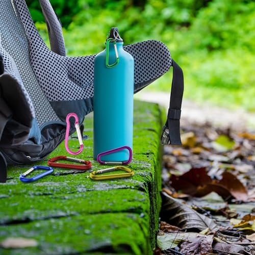 50 Pezzi Moschettoni Piccoli, 3,5 x 40 mm