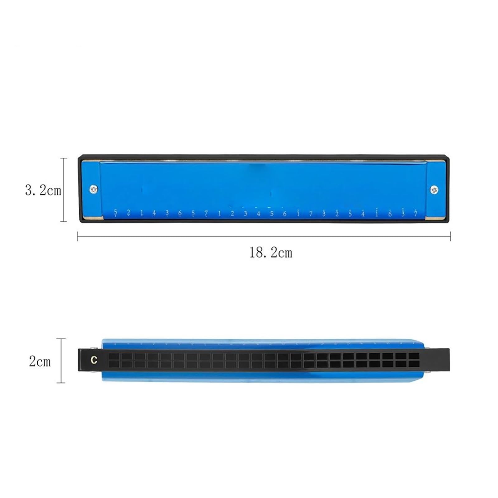 Armonica Armonica A Bocca Professionale In Do A 24 Fori Strumento Musicale In Resina ABS Con