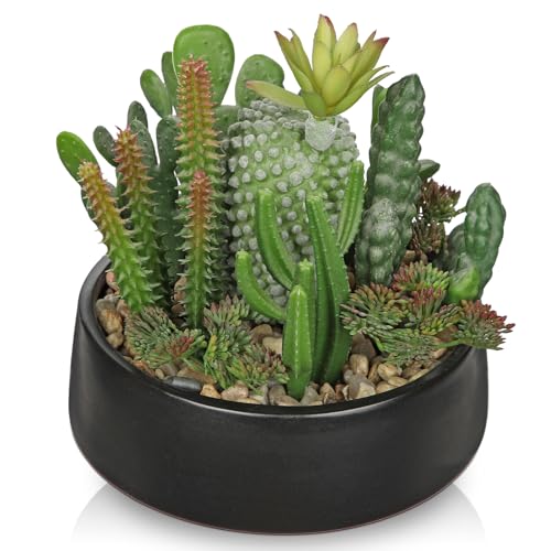 Best Plant for Coffee Table: Top Stylish Faux and Realistic Picks 6 DILATATA Artificial Cactus Plants in Pot 5.5 Inch Fake Succulents Arrangement Potted Plant in Black Ceramic Planter Bowl for Home Office Desk Shelf Living Room Bedroom Bathroom Decor