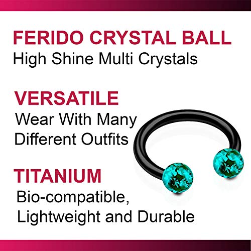 Bodyjewellery 2Pcs 16G Barbell Horseshoe Earrings Lip Black Titanium G23 Cartilage Septum Ear Tragus Ring Eyebrow Snake Bite B2Icx #TOP4