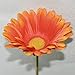 FatColo(R) 10 pcs Silk Artificial Fake Plastic Daisy Chrysanthemum Flowers Sun Chrysanthemum,Sunflower, Simulation Gerber, Dimorphotheca,Party Room Home Decoration DIY Flower Bouquet (Orange)