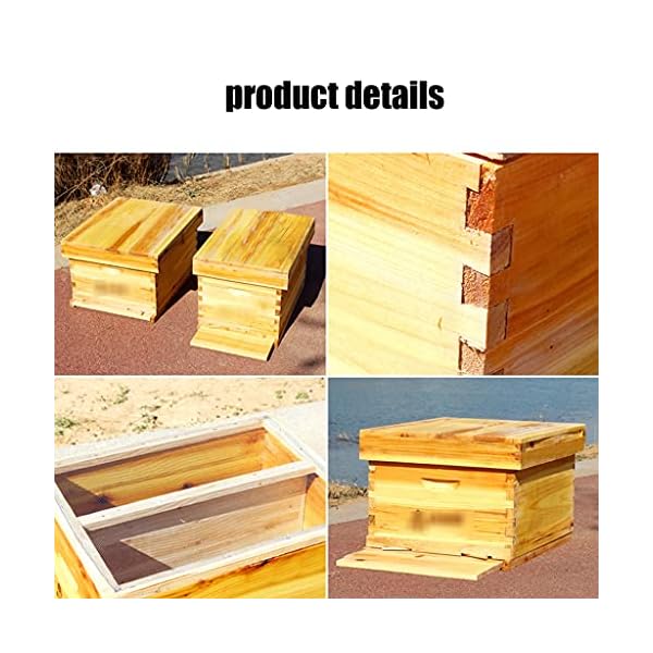 HYJBGGH Bienenhaus Flow Hive, 10 Rahmen Holz Outdoor Bienenstock Bienenkasten, w/10 Nestrahmen, Imkereibedarf Ausrüstung… – Bild 3