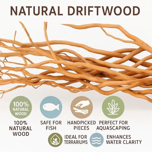 Image of Azil Natural Aquarium Driftwood Root - Driftwood for Aquarium Decor, 170g~0.38lb (14″-16″), Fish Tanks, Terrariums, Aquascaping & Planted Tanks