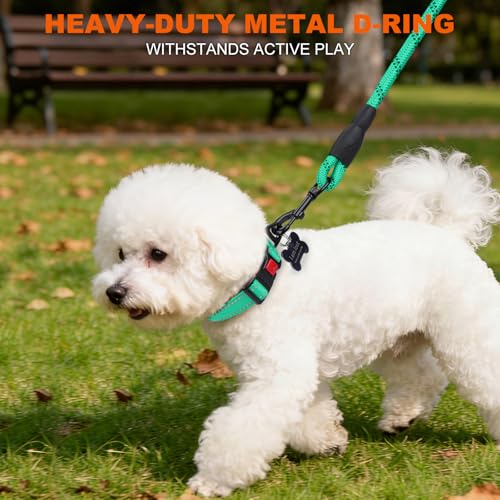 Taglory Hundehalsband, Weich Gepolstertes Neopren Nylon Hunde Halsband für Welpen, Verstellbare und Reflektierend für das Training, Türkis