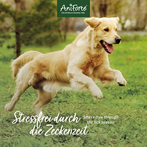 AniForte Zeckenschild für große Hunde 35-50 kg 60 Kapseln – Zeckenschutz Hund, unterstützt den Schutz gegen Zecken, natürlich & effektiv für Junior, Adult & Senior geeignet