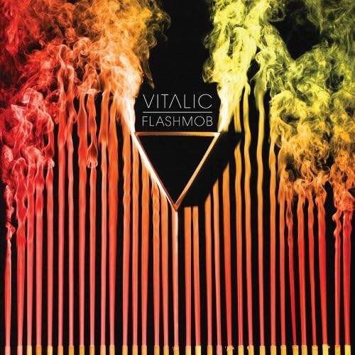 Vitalic Flashmob Music